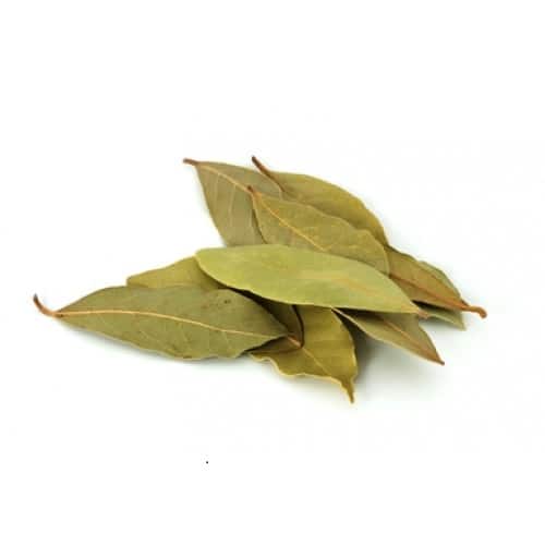 Briyani Leaf