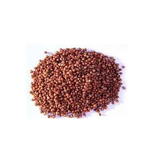 Red Cholam | Jowar | Sorghum grain| Healthy Millet | Buy organic millets online